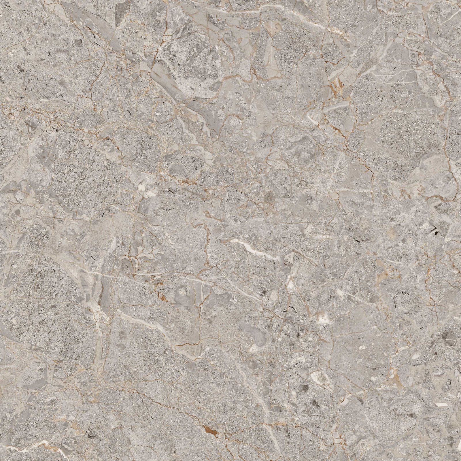 PLATINUM 50X50 LINCOLN GREY REC